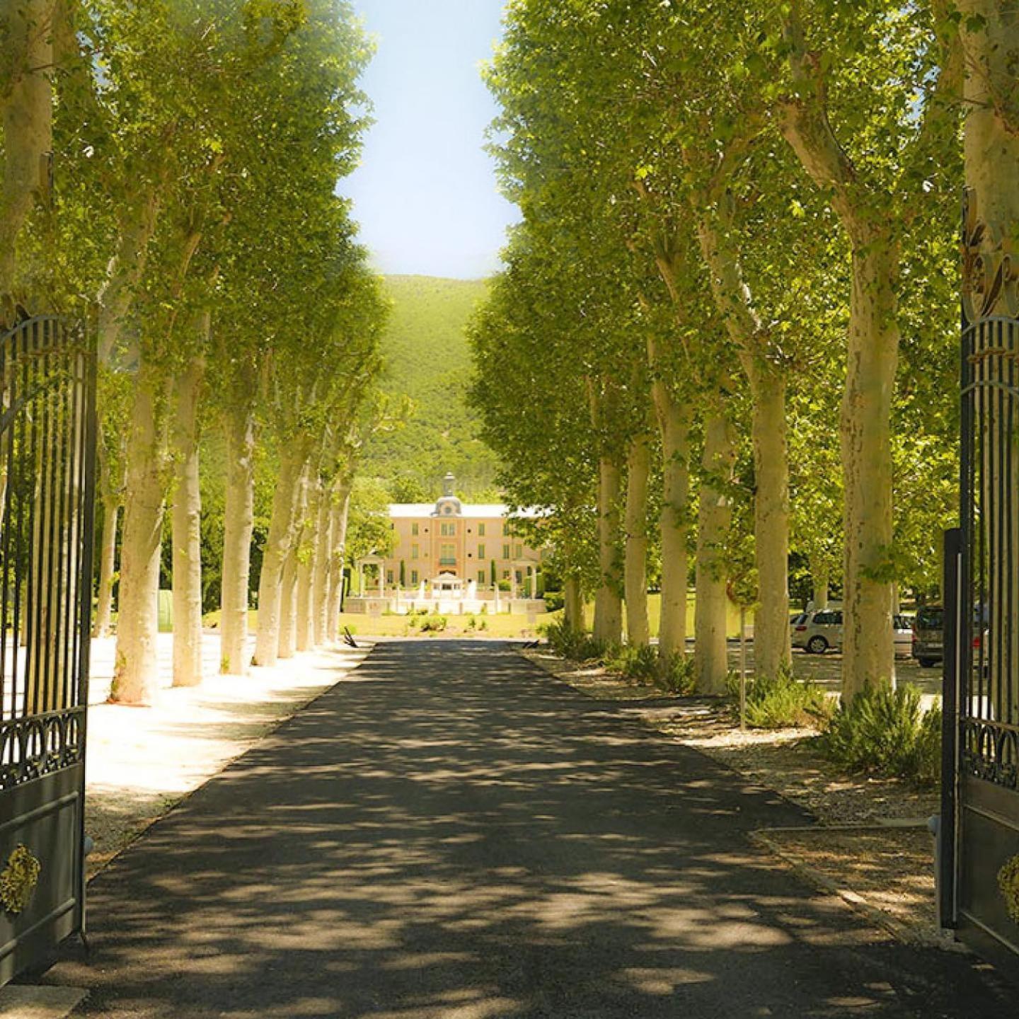 Chateau Des Gipieres Bij De Mont Ventoux Montbrun-les-Bains Bagian luar foto