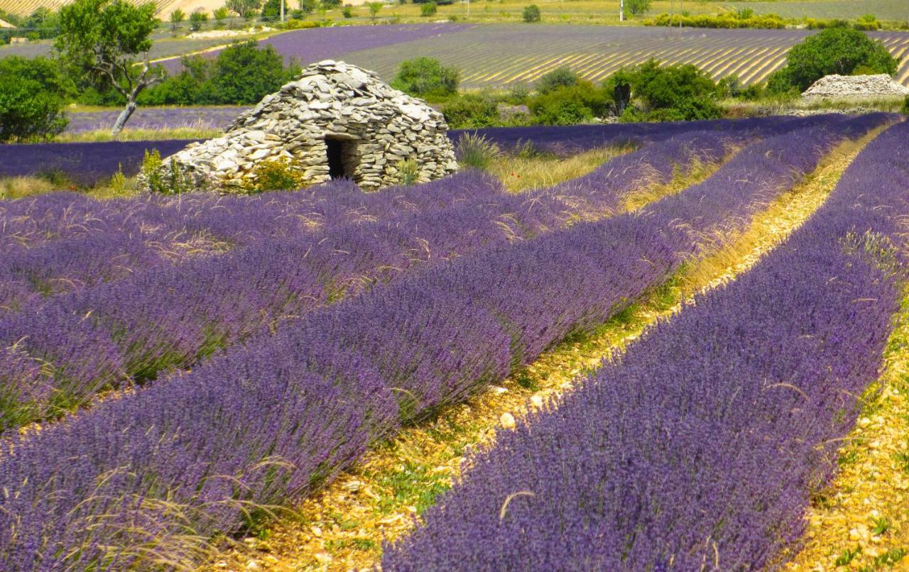 Chateau Des Gipieres Bij De Mont Ventoux Montbrun-les-Bains Bagian luar foto