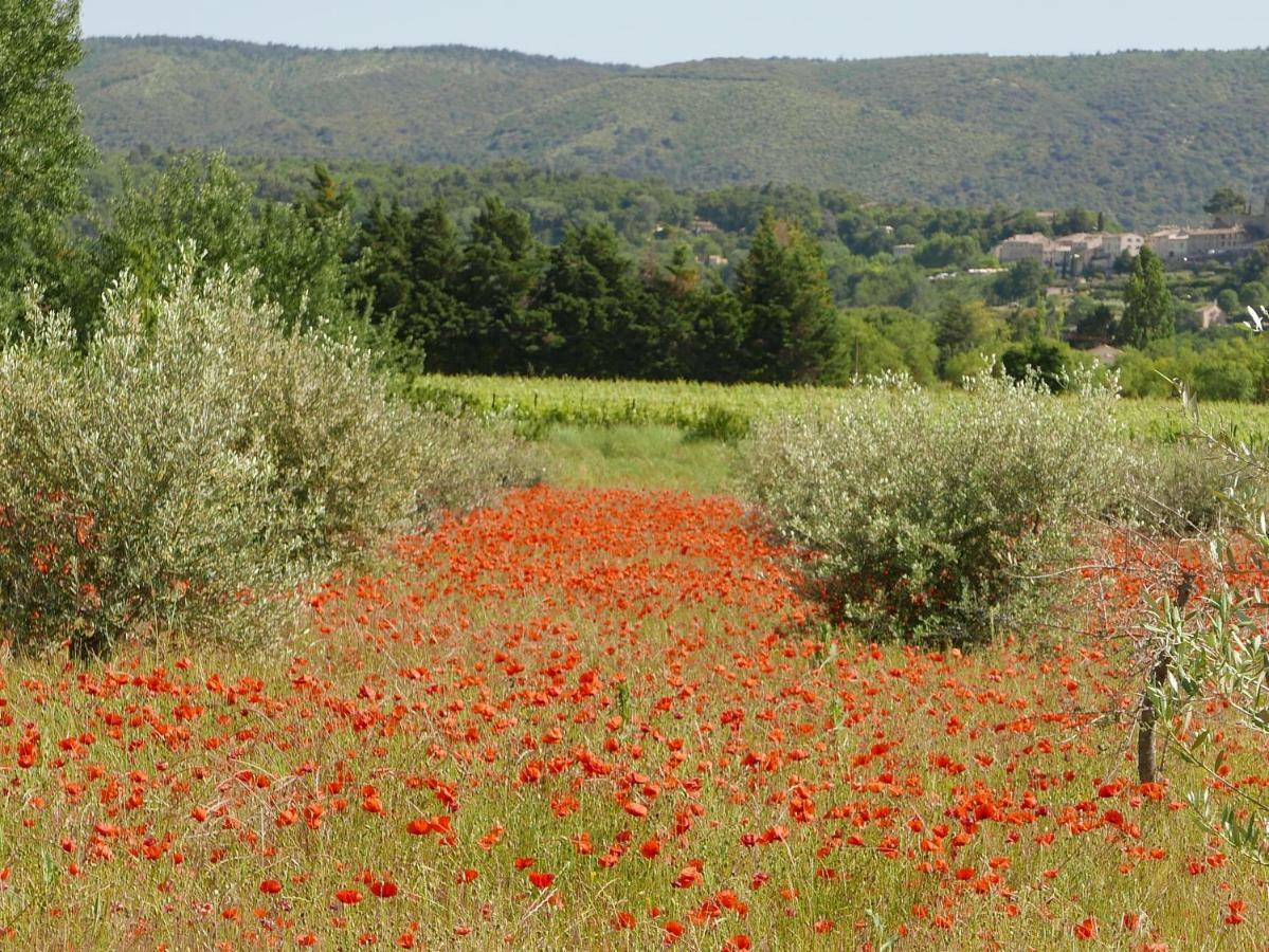 Chateau Des Gipieres Bij De Mont Ventoux Montbrun-les-Bains Bagian luar foto