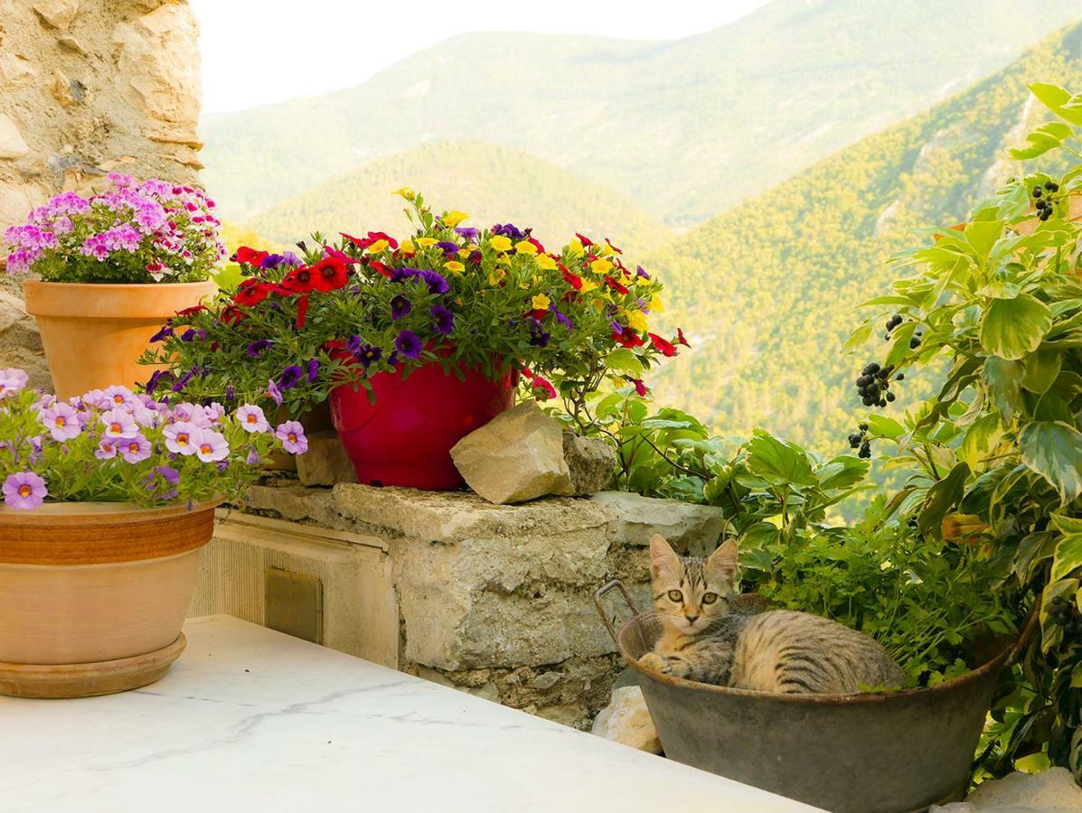 Chateau Des Gipieres Bij De Mont Ventoux Montbrun-les-Bains Bagian luar foto