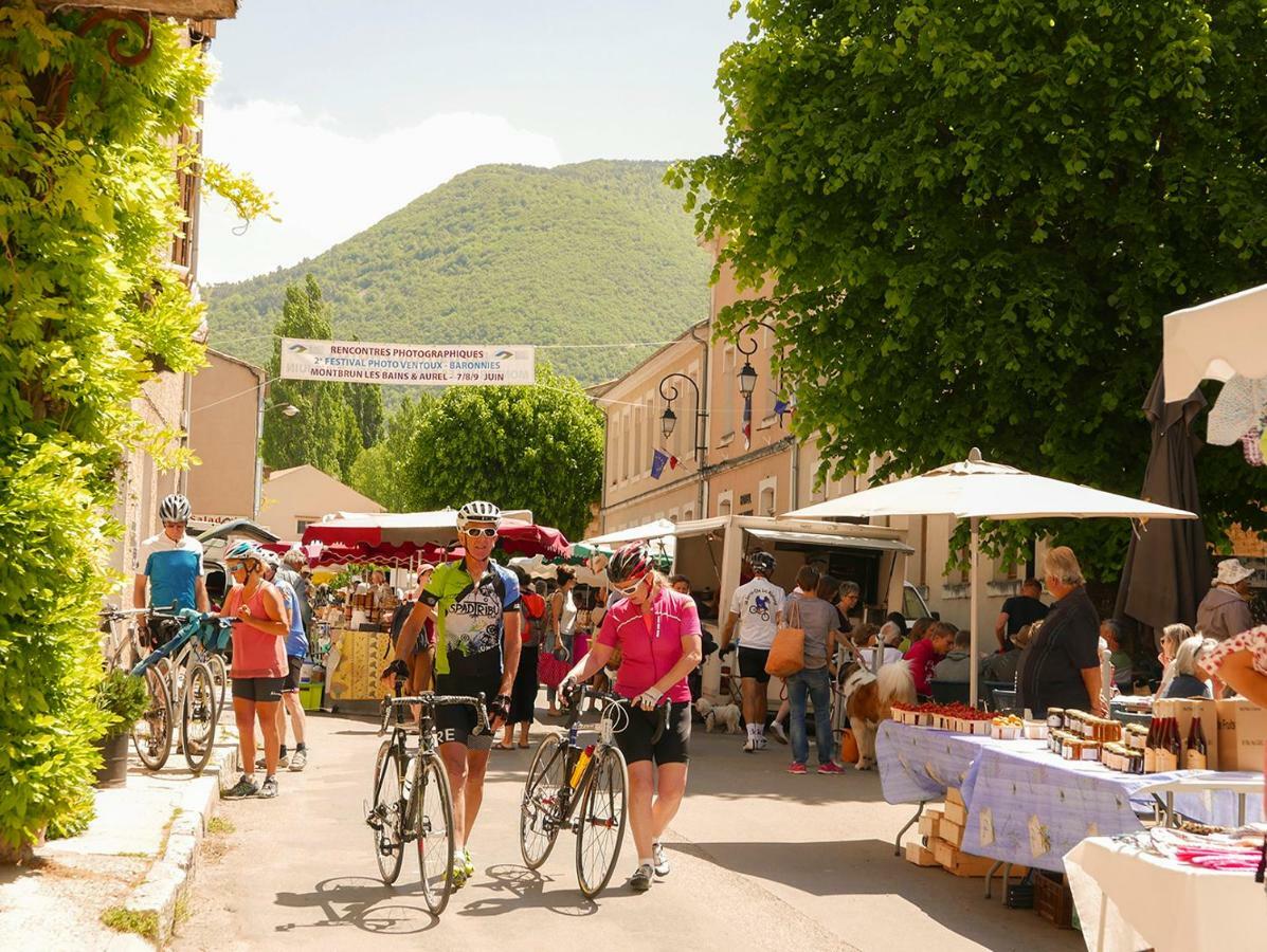 Chateau Des Gipieres Bij De Mont Ventoux Montbrun-les-Bains Bagian luar foto