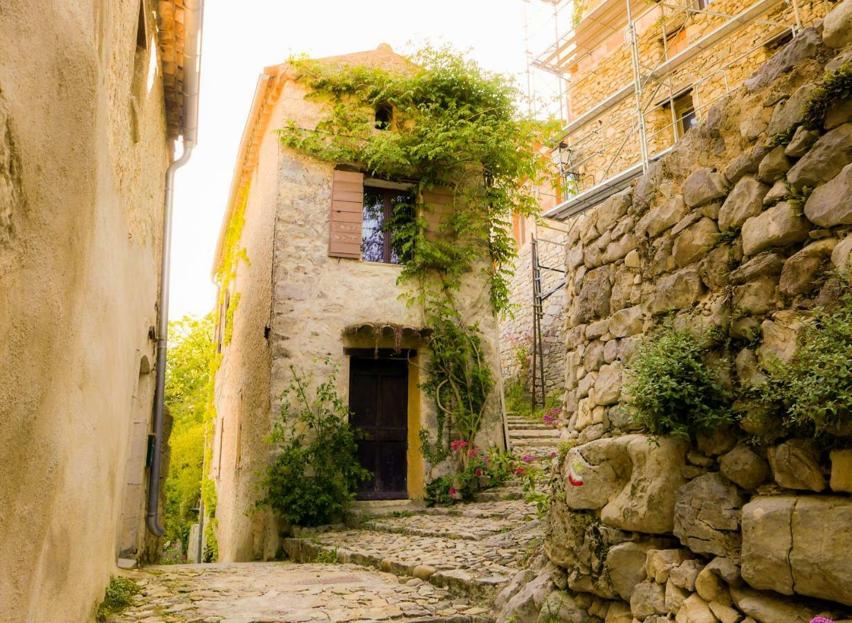 Chateau Des Gipieres Bij De Mont Ventoux Montbrun-les-Bains Bagian luar foto